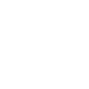 Burgerhub logo
